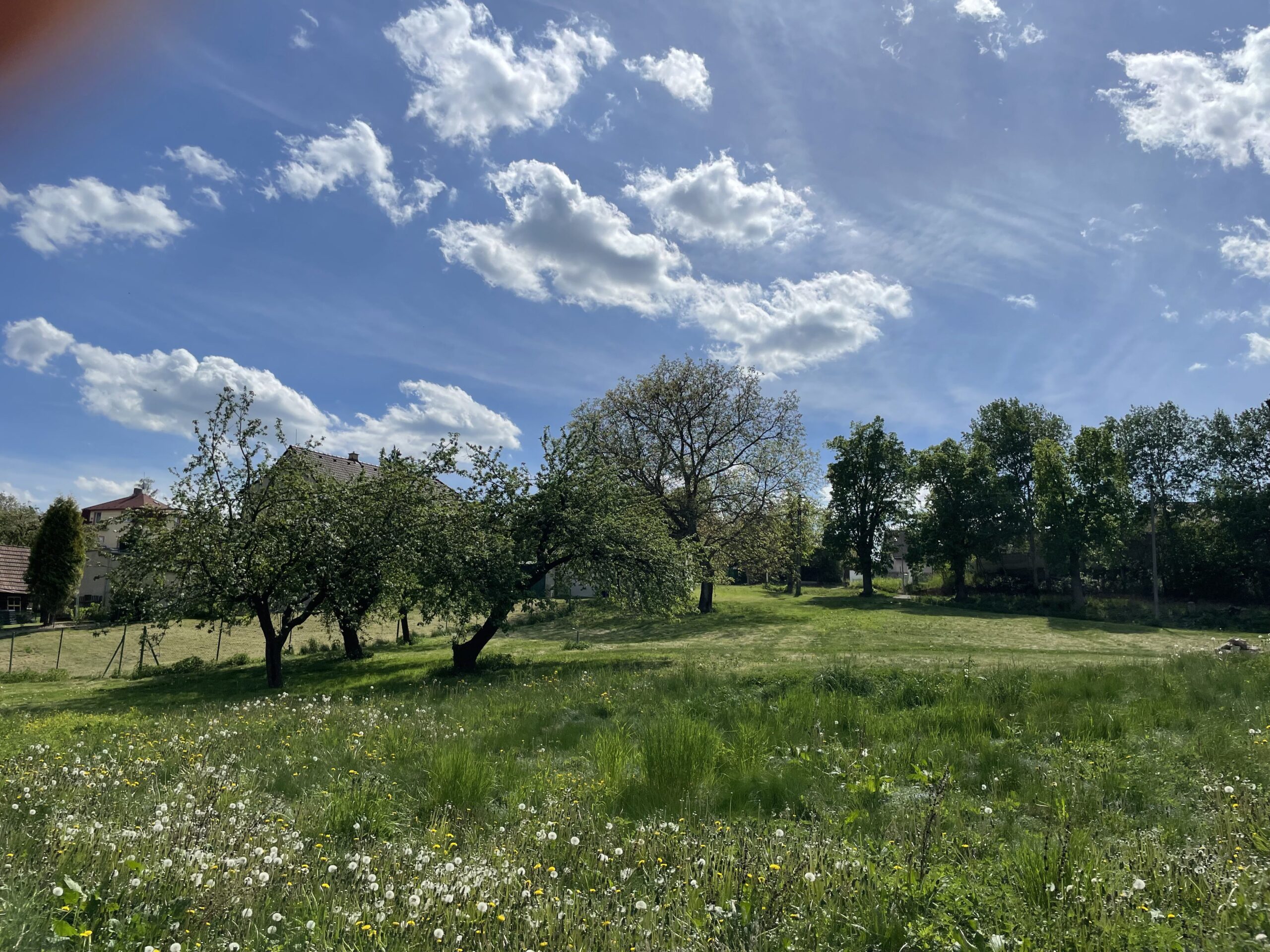 ZŠ Sofie Kuří - zahrada nad hřištěm