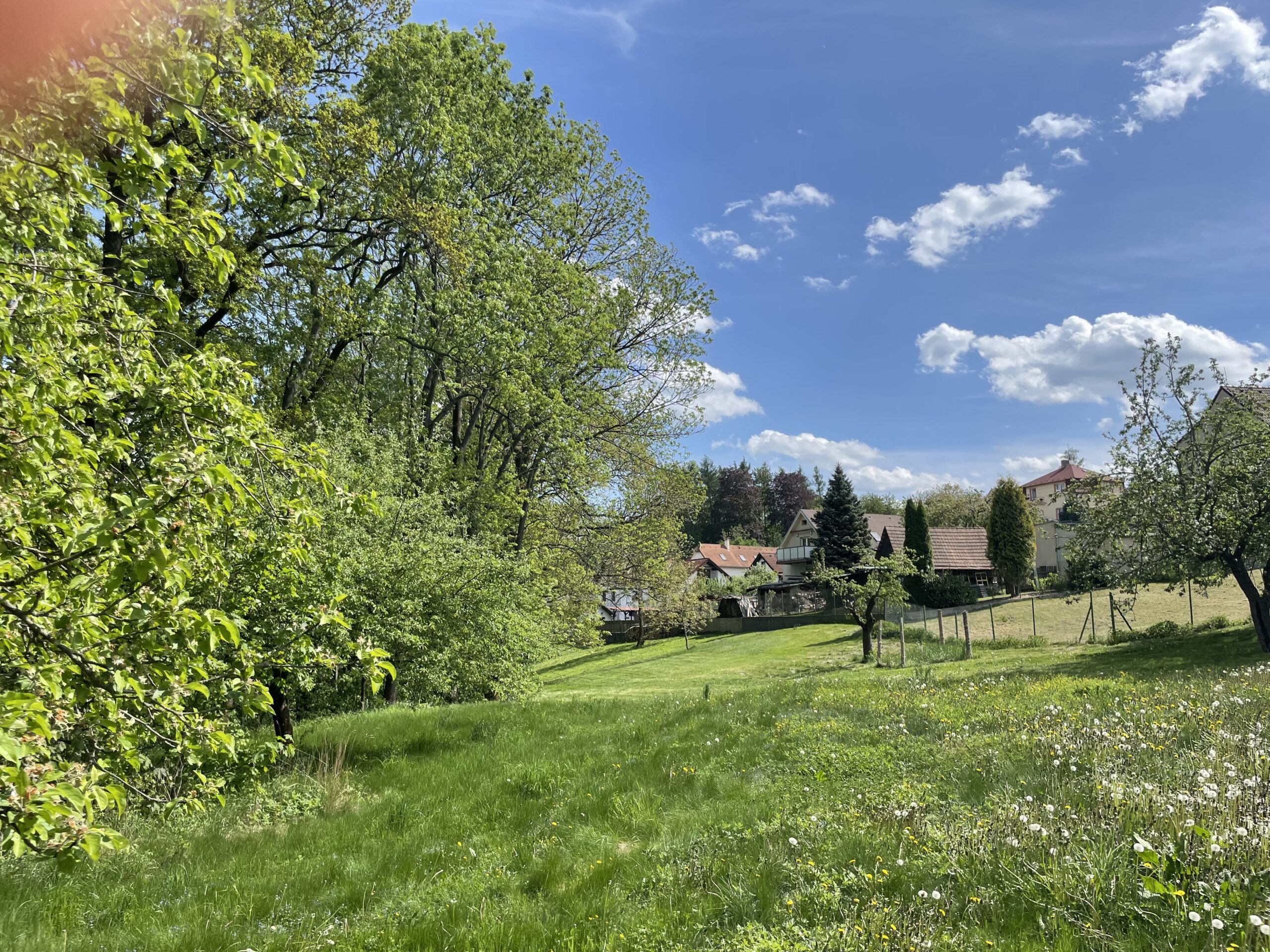 ZŠ Sofie Kuří - zahrada nad hřištěm