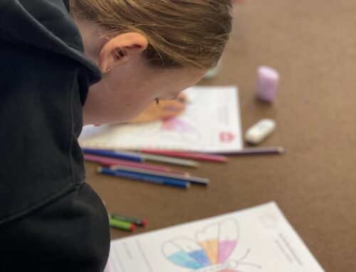 Sebehodnocení před schůzkami ve třech